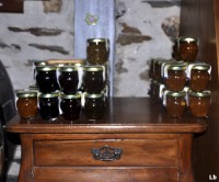 /album/produtos/dsc0237-jpg/