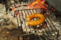 /album/pratos/dsc-0699-jpg/